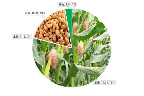 禾本科雜草（草）的識別與防治 基于中國農(nóng)業(yè)大數(shù)據(jù)的洞察