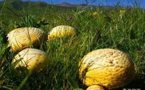 天空之城不再遙遠 寶蘭高鐵開通與信息系統集成服務的緊密結合