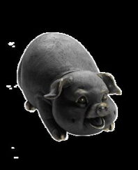 發(fā)財(cái)豬 聯(lián)漢國(guó)際資訊股份旗下bysources豬產(chǎn)品的全面解析